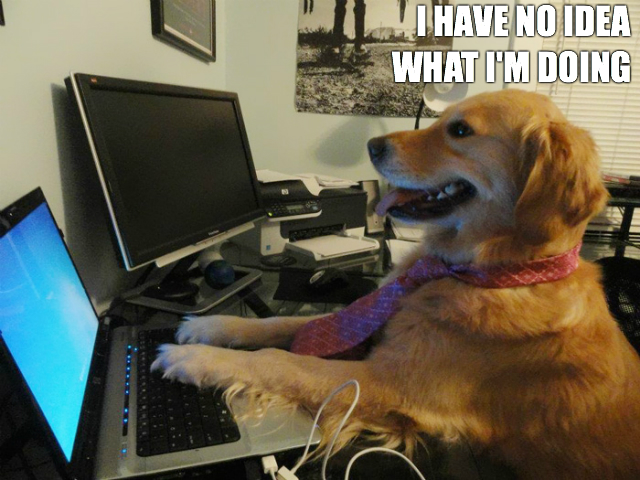 Clueless Dog Tries Live Tweeting